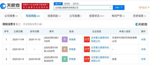 人人车关联公司被限制消费，累计执行标的超1530万，计算机软硬件开发业务或受冲击